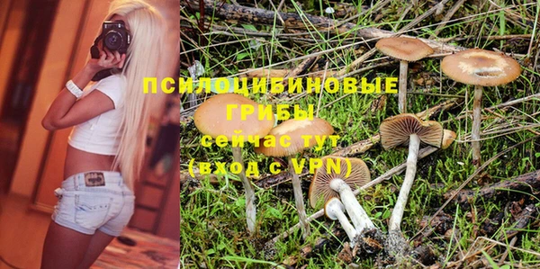 гидра Волосово