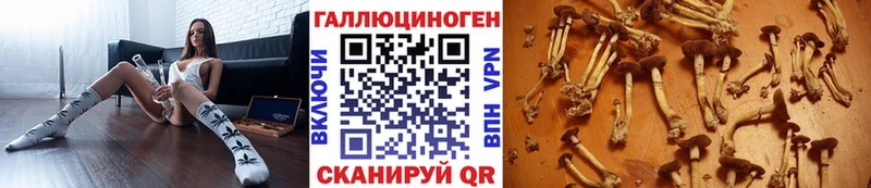 даркнет сайт  Калязин  Псилоцибиновые грибы Cubensis 